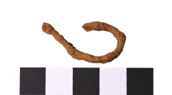 Artefact Catalogue 474 Thumbnail