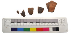 Artefact Catalogue 476 Thumbnail