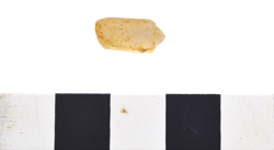 Artefact Catalogue 489 Thumbnail
