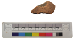 Artefact Catalogue 501 Thumbnail