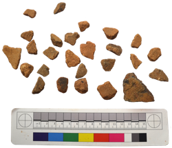 Artefact Catalogue 510 Thumbnail