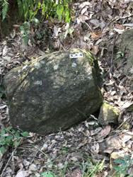 Jar 10020015 Thumbnail