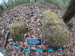 Jar 106010005 Thumbnail