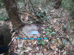 Disc 107010002 Thumbnail