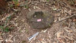 Disc 12010001 Thumbnail