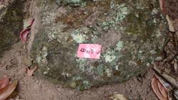 Disc 12010002 Thumbnail