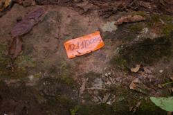 Disc 12010005 Thumbnail