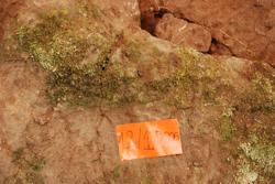 Disc 12010006 Thumbnail