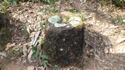 Jar 12010002 Thumbnail