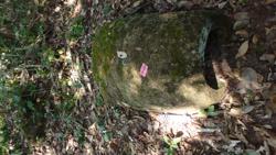 Jar 12010020 Thumbnail