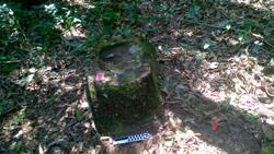 Jar 12010026 Thumbnail