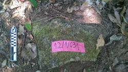 Jar 12010031 Thumbnail
