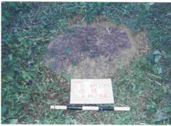 Disc 13010001 Thumbnail