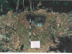 Jar 16010009 Thumbnail