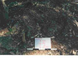 Jar 16010012 Thumbnail