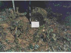 Jar 16010019 Thumbnail