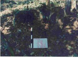 Jar 16010020 Thumbnail