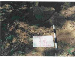 Jar 16010022 Thumbnail