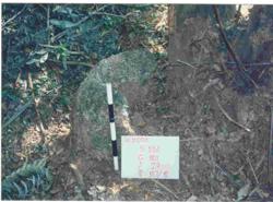 Jar 16010027 Thumbnail