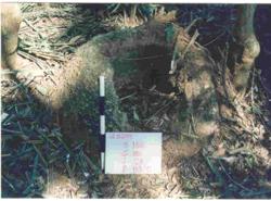 Jar 16010028 Thumbnail