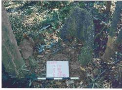 Jar 16010029 Thumbnail