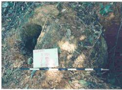 Jar 16010030 Thumbnail