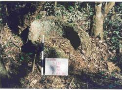 Jar 16010033 Thumbnail