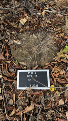 Disc 17010002 Thumbnail