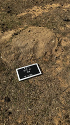 Disc 17020001 Thumbnail
