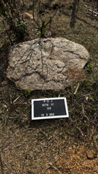 Disc 17020002 Thumbnail
