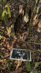 Jar 17030005 Thumbnail