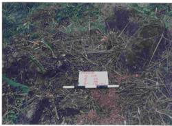 Jar 17030009 Thumbnail
