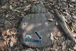 Disc 02E0001 Thumbnail