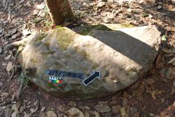 Disc 02E0002 Thumbnail