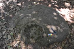 Disc 02E0004 Thumbnail