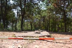 Disc 02E0005 Thumbnail
