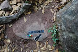Disc 02E0006 Thumbnail