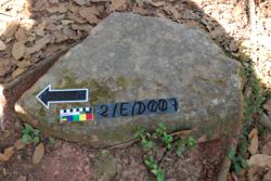 Disc 02E0007 Thumbnail