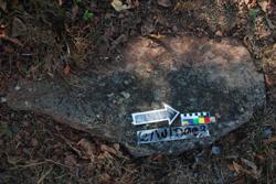 Disc 02W0003 Thumbnail