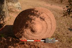 Disc 02W0008 Thumbnail
