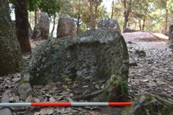 Jar 02E0043 Thumbnail