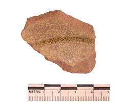 Artefact Catalogue 11 Thumbnail