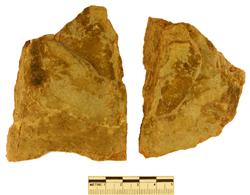 Artefact Catalogue 30 Thumbnail