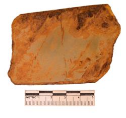 Artefact Catalogue 51 Thumbnail