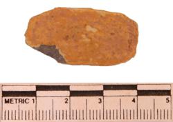 Artefact Catalogue 70 Thumbnail