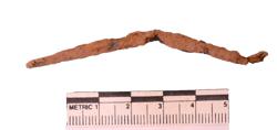 Artefact Catalogue 77 Thumbnail
