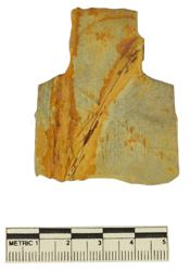 Artefact Catalogue 109 Thumbnail