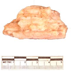Artefact Catalogue 123 Thumbnail