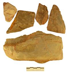 Artefact Catalogue 302 Thumbnail