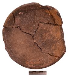 Artefact Catalogue 309 Thumbnail